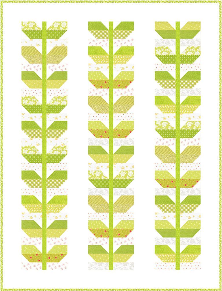 FIGS & FRIENDS COLLABORATION | Fresh Figs